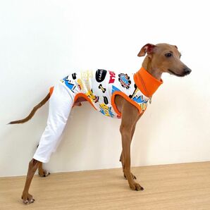 犬服 イタグレ服 S M L XL 2XL 3XL かわいい ロンパース つなぎ 小型犬 中型犬 大型犬 春 夏 秋 冬服