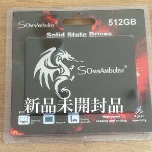 SomnAmbulist 512GB SATA SSD 新品未開封