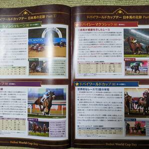 JRA ナリタブライアントートバッグ、QUOカード500円、レープロＸ2（2023.12.23中山大障害、2024.3.30ダービー卿、ドバイワ－ルドカップ）の画像2