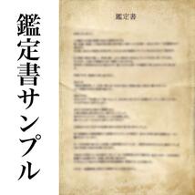 【初回限定】霊視鑑定　占い　転職　天職　就職　副業　開業　独立　ビジネス　仕事_画像5