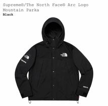 Supreme The North Face arc logo Mountain Parka M シュプリーム ノースフェイス マウンテンパーカー_画像1