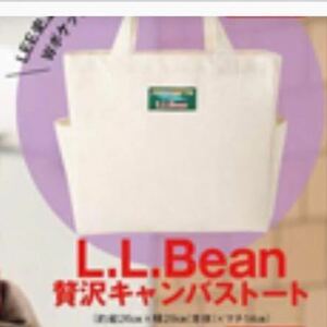 L.L.Bean ダブルポケット付き贅沢キャンバストート　　　雑誌付録　付録　LLビーン