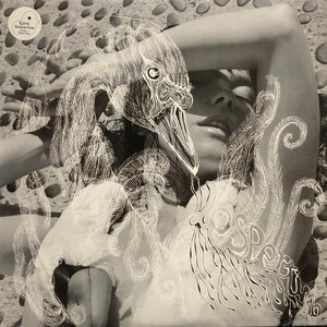 BJORK / Vespertine 2LP Vinyl record (アナログ盤・レコード)