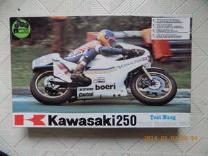 Kawasaki250 Toni Mang World Champion 1980 ( PROTAR SCALE 1/9 Mod.179 )