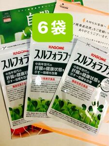 カゴメ スルフォラファン KAGOME サプリメント 93粒x6袋　植物性　肝臓サプリ　肝臓　ALT低下