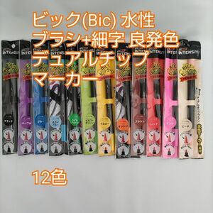 ビック(Bic) 水性 ペン 筆ペン 塗り絵 カラー セット Intensity デュアルチップ マーカー 12色セット①