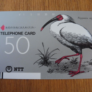 テレホンカード トキ NTT 50度数 未使用 鳥 野鳥の画像1