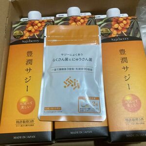 早い者勝ちー豊潤サジー ビタミンC サジー原料 オーガニック 紙パックタイプ 1000ml３本セット　おまけつき