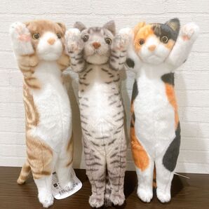 【新品未使用】たっちい Zoo にゃんこ ライト 全3種セット