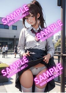 AN00009★高画質★A4高級光沢紙印刷★ 女子高生 制服 パンチラ 絶対領域 ニーハイ 同人 美少女 アニメ ポスター #女子高生 #絶対領域 #AI