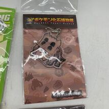 6-3-54■Pokmon Center 商品 他 まとめて キーホルダー ブローチ ピアス / ポケモン化石博物館 ガチゴラス ラムパルド トリデプス 現状品_画像5