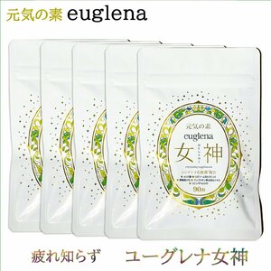  euglena woman god 90 bead ×5 5. month minute ..OK Ishigakijima euglena use sinterela. acid . combination multi vitamin * coenzyme Q10*LPS exemption . vitamin 