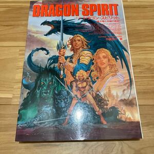 dragon sprit Dragon Spirit Namco .. dragon . red wheel. . person rare collector rare retro arcade 