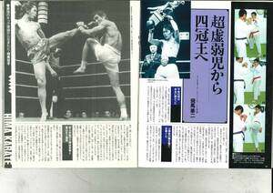 フルコンタクトKARATE　1991年51号 USA大山空手 ウィリー・ウィリアムス シュガーレイレナード 畑中清詞vsペドロデシマ センターページ脱落