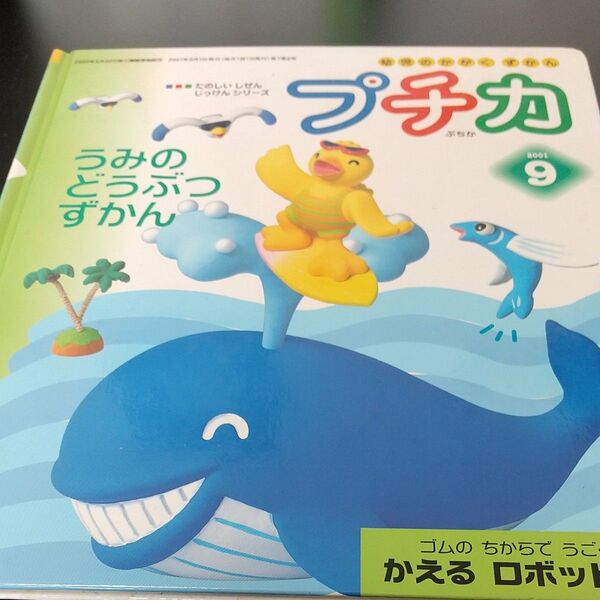 【プチカ】うみのどうぶつずかん 幼児のかがくすかん /はなまるきっずプチカ(全国の水族館にいる主な哺乳動物が 網羅)