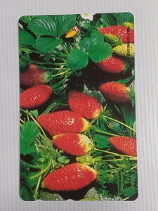 forest . Kyoro-chan strawberry . telephone card 