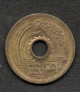 硬貨 昭和56年 5円 黄銅貨 ゴシック体