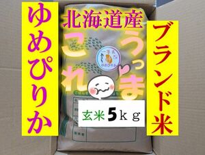 【送料無料】ゆめぴりか　１等米　玄米5キロ　特A北海道米　令和５年産　農家直送 数量限定