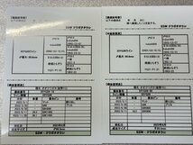 【ESW】能勢YG オオクワガタ 訳ありペア ♂86.5mm ♀55.5mm 新成虫 （88.8mm同腹）_画像9