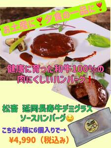  microwave oven . easy *[ pine .]. hill length . gift demi-glace hamburger! freezing! postage included *