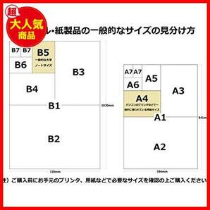 ★3列4段★ コインフリーアルバム スペア コインホルダー用 3列4段台紙 5枚入 CA-334Sの画像5