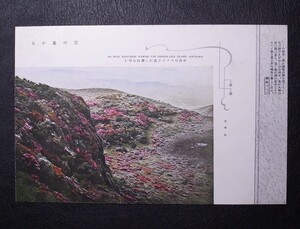 中岳のツツジを遥かに櫻島を望む/花の峯から 絵葉書〔A152〕ON PEAK NAKA-DAKE VIEWING FAR SAKURA-JIMA…/霧島山 写真 歴史資料 絵はがき 