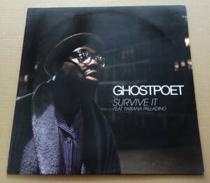 Ghostpoet Featuring Fabiana Palladino / Survive It 12インチレコード Brownswood Recordings Koreless D-Bridge Dubstep GillesPeterson