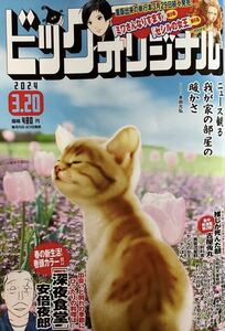 ビッグコミック　オリジナル　6号 3月20日号　2024年3月5日発売 送料135円 OPP防水仕様にて発送　3/5 3/20