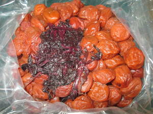 shi. plum 1 kilo 