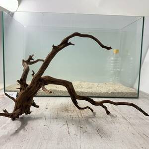 nesia driftwood BIG Brown b lunch /2L size 1 point thing No.4756[W approximately 43cm](60cm aquarium )