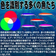 紫外線加工液 集魚剤 ケイムラパープル ケイムラオレンジ 190ml ２色組 ケイムラ 液 釣り餌 釣りエサ 海上釣堀 エサ オキアミ 冷凍イワシ_画像5