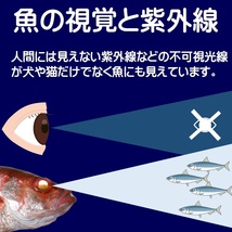 紫外線加工液 集魚剤 ケイムラピンク 190ml ２本組 ケイムラ 液 冷凍 オキアミ 冷凍イワシ エサ 海上釣堀 エサ アミエビ 釣りエサ 釣り餌 _画像3