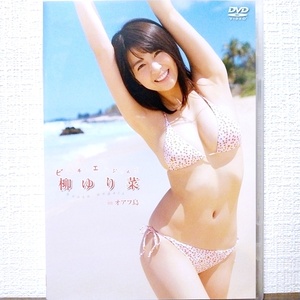 『 柳ゆり菜 / ビーチ・エンジェルズ in オアフ島 』DVD　グラビアアイドル　Beach Angels