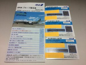 ANA 株主優待券 3枚セット 2024年5月31日まで ◆3