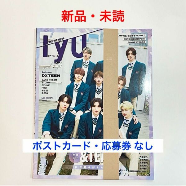 IYU vol.03 &TEAM 新品・未読 アイユー 雑誌 1冊