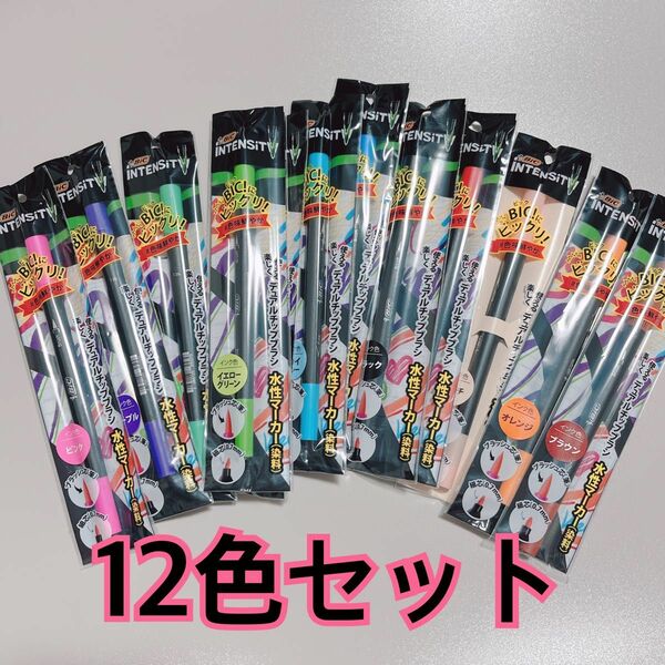 BiC 水性ペン　デュアルチップ　12色セット