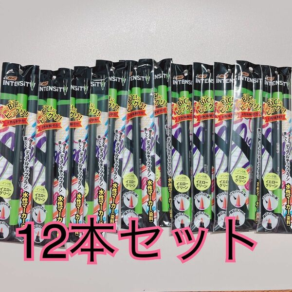 BiC 水性ペン　デュアルチップ　イエローグリーン　12本セット