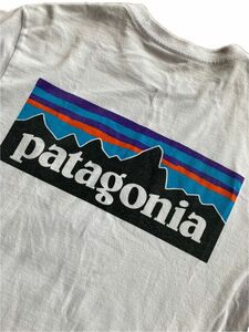 パタゴニア Tシャツ サイズXS patagonia ホワイト　半袖