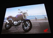 ホンダ　ＶＴＲ２５０　２００７年　希少カタログ・美美品・送料込み！_画像2