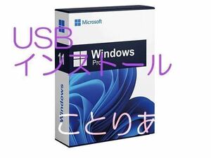 64GB あと10個 Microsoft Windows 11 Pro USBメディア ＋ ライセンス 実績作りのためにほぼ赤字出品 7000円 出品と同等のサポート。