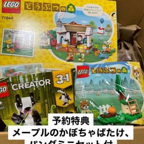 LEGO しずえさん、おうちにようこそ V8 メープルのかぼちゃ畑　パンダミニセット付　あつ森