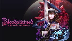 Bloodstained: Ritual of the Night steamキー