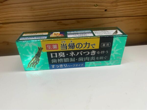 [廃盤]サンスター薬用塩ハミガキ 生薬 当帰の力 すっきりハーブ 85g