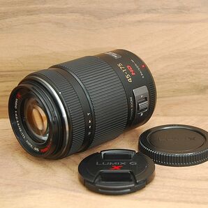 パナソニック Panasonic LUMIX PZ 45-175mm F4.0-5.6 望遠レンズ ミラーレス カメラ 中古