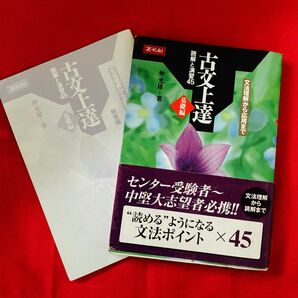 古文上達　基礎編　読解と演習４５ 仲　光雄　著