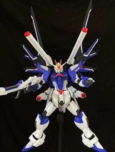 HG ライジングフリーダム 全塗装 完成品_画像4