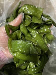 最新年度　塩蔵茎わかめ　徳島県産　箱込み2kg