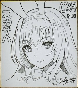 【整理品】 手書きイラスト（FGO スカサハスカディ）