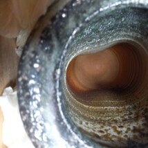 津軽烏城焼　自然　長花生（ながはないけ）花瓶　緑色流れ灰被り　20年程前に20万程で購入したものです。_画像4