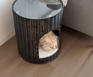 サイドテーブル ダークブラウン色 ペットハウス 猫と暮らす 猫ちぐら 樹脂製ラタン Pienet（ピエネ）